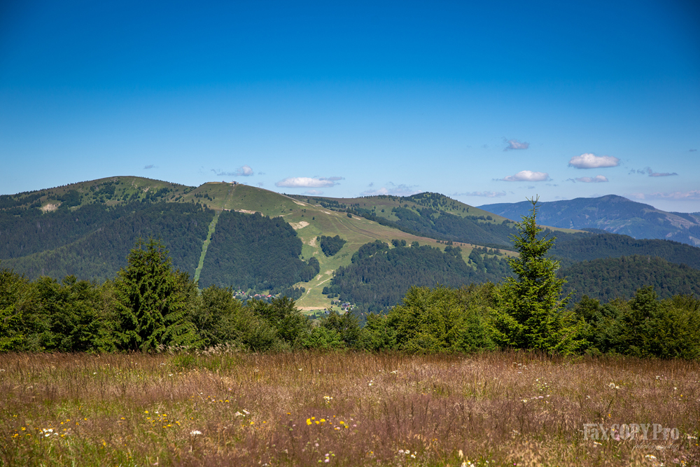 Náhľad