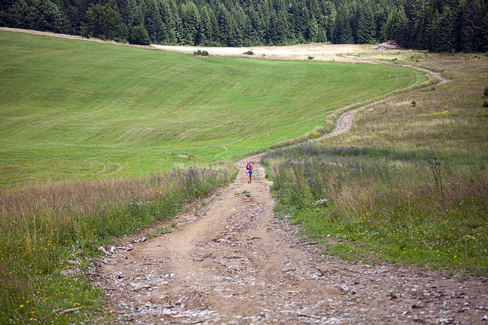 Náhľad